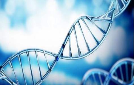 百(bai)傲2019再穫三證，進入DNA免提時代